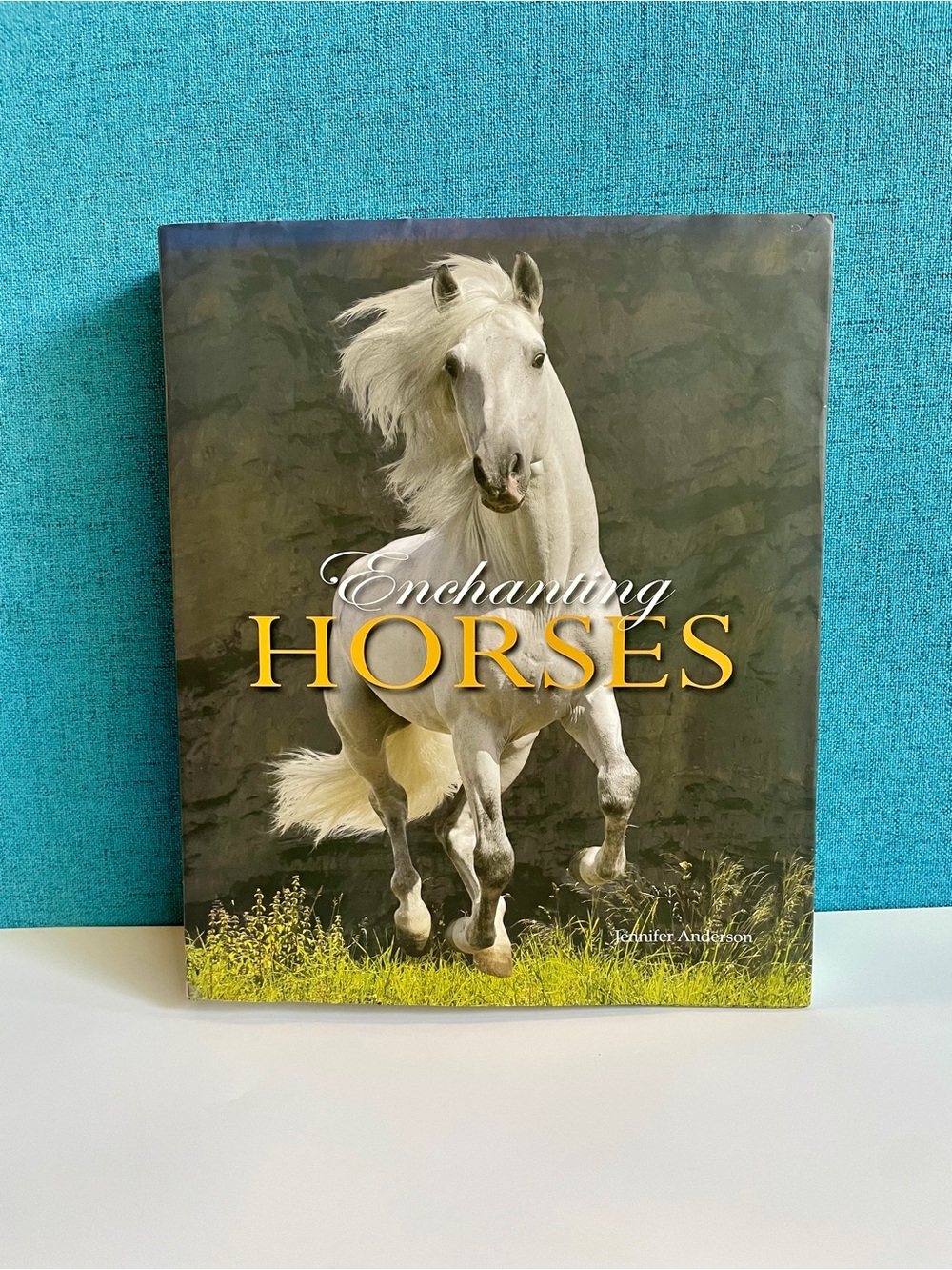 Enchanting Horses by Jennifer Anderson Hardcover book
